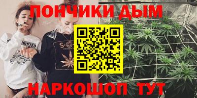 индика Кинель