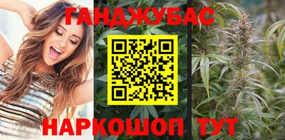 индика Кинель