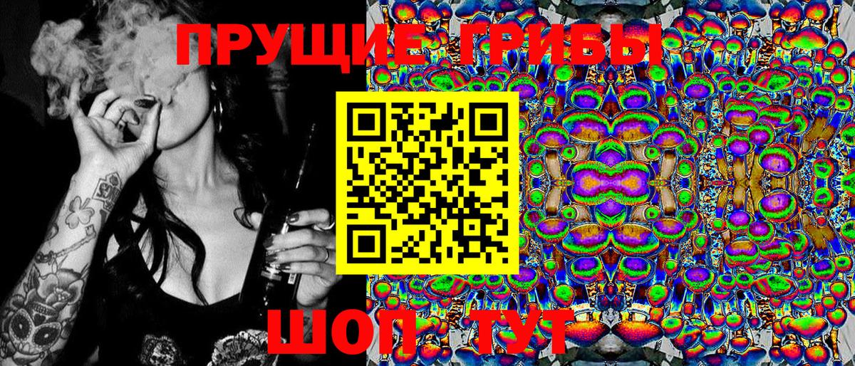 Псилоцибиновые грибы Psilocybe Краснознаменск